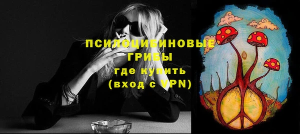 первитин Кукмор