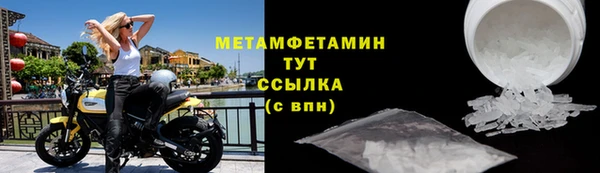 прущие грибы Краснослободск