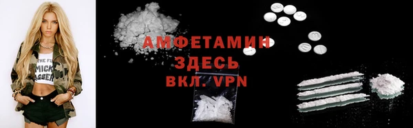 прущие грибы Краснослободск