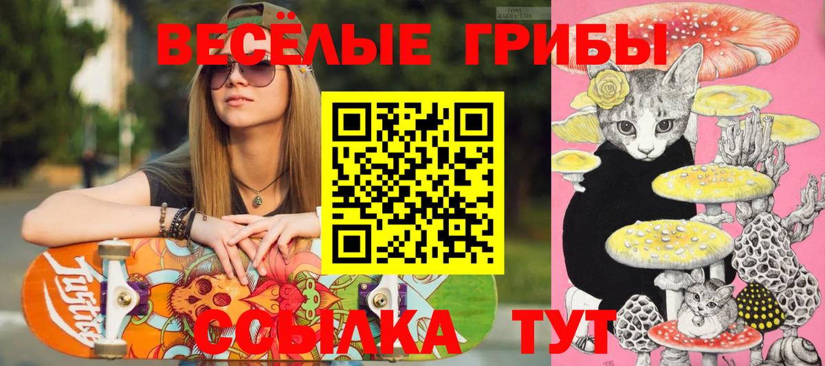 Кингисепп  Псилоцибиновые грибы мицелий  Вход с VPN 