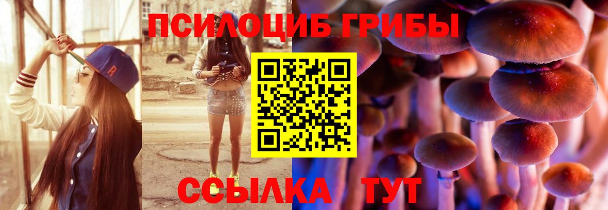 Галлюциногенные грибы прущие грибы Кингисепп