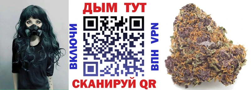 Купить закладки  Кингисепп  Бошки марихуана THC 21% 
